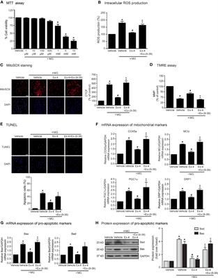 Stimulation of GLP-1 Receptor Inhibits Methylglyoxal-Induced Mitochondrial Dysfunctions in H9c2 Cardiomyoblasts: Potential Role of Epac/PI3K/Akt Pathway